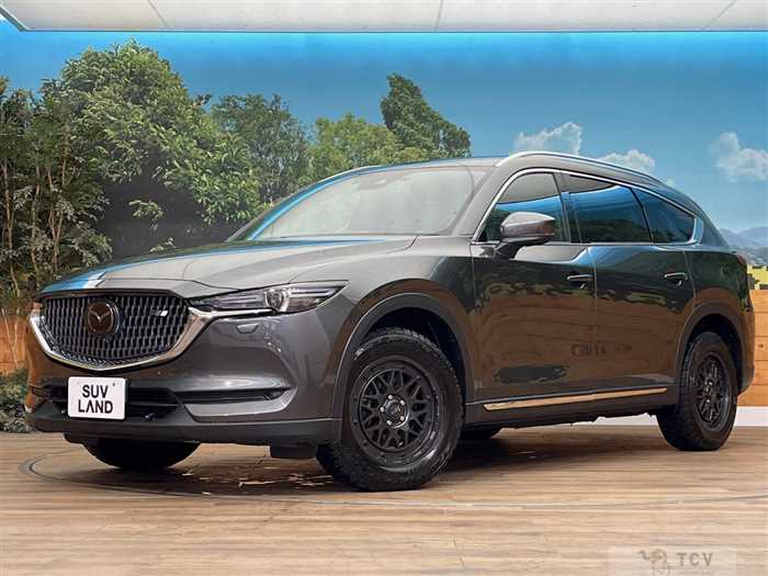 2018 Mazda CX-8