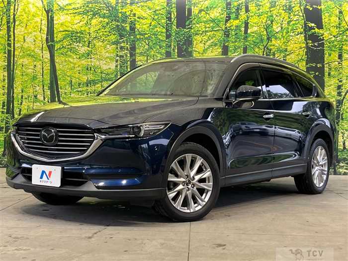 2018 Mazda CX-8