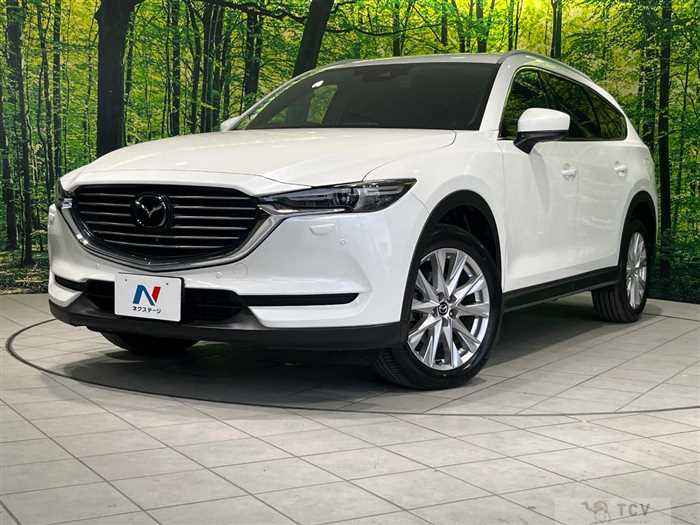 2018 Mazda CX-8