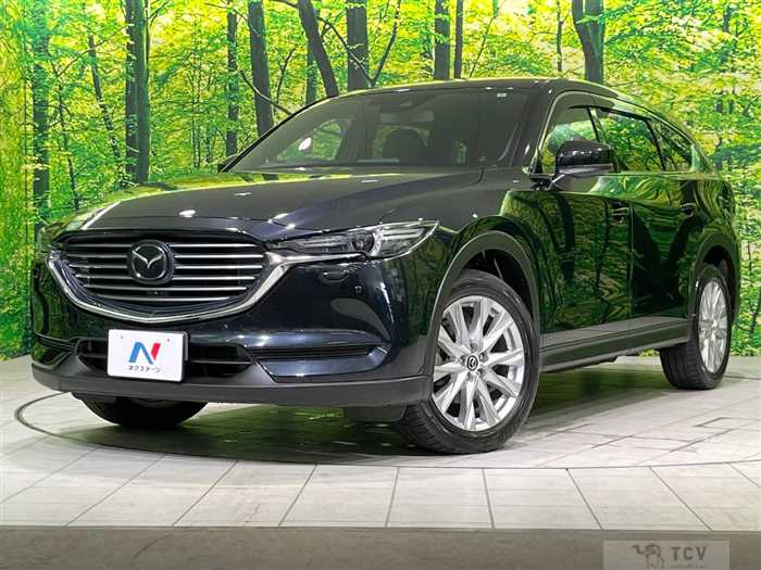 2018 Mazda CX-8