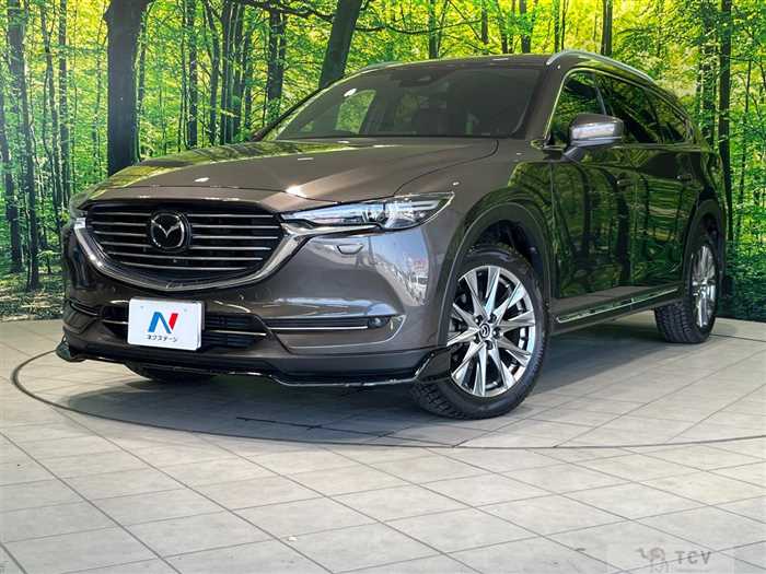 2019 Mazda CX-8