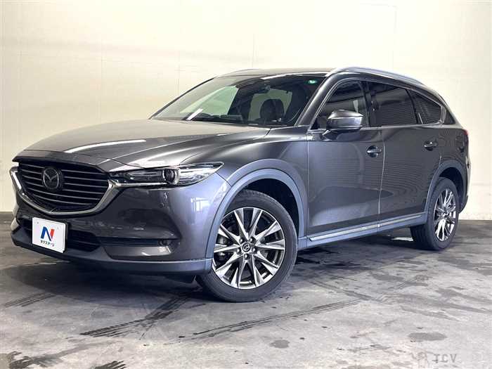 2019 Mazda CX-8