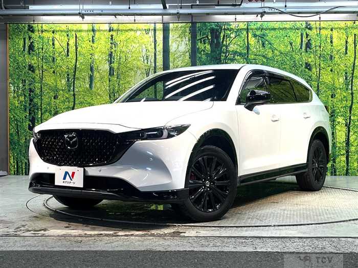 2023 Mazda CX-8