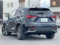 2018 Lexus NX