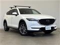 2019 Mazda CX-8