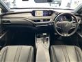2020 Lexus UX
