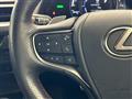 2020 Lexus UX