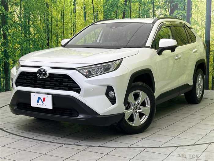 2019 Toyota RAV4
