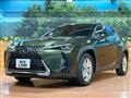 2019 Lexus Other