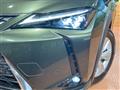 2019 Lexus Other