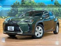 2019 Lexus Other