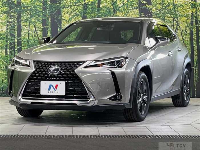 2019 Lexus Other