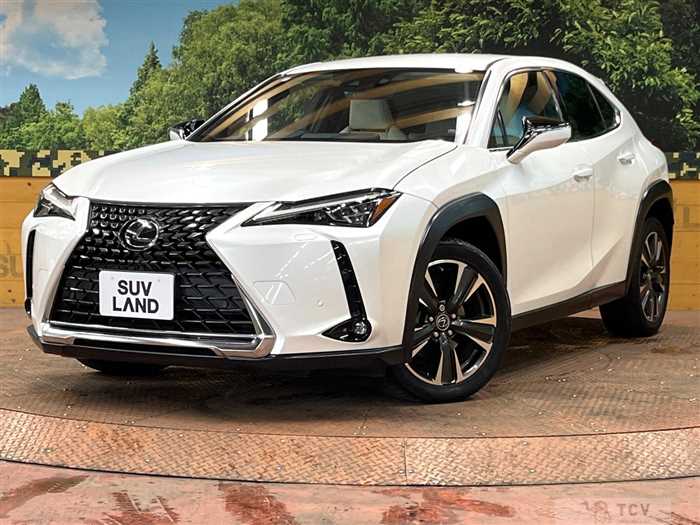 2020 Lexus Other