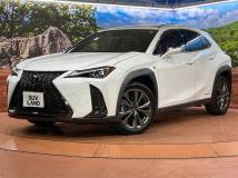 2018 Lexus Other