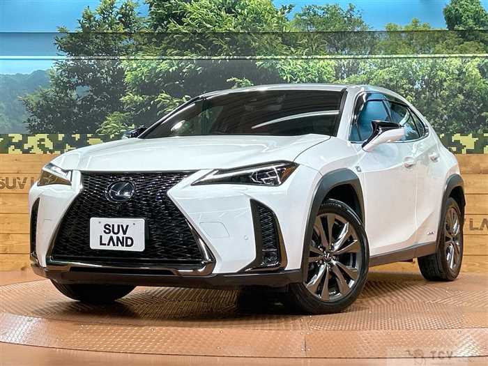 2019 Lexus Other