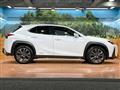 2019 Lexus Other