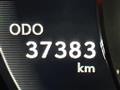 2019 Lexus Other