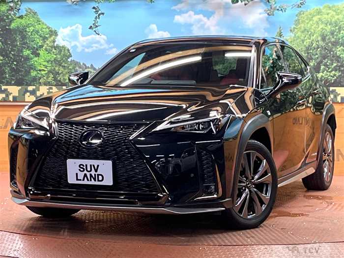 2019 Lexus Other