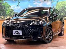 2019 Lexus Other