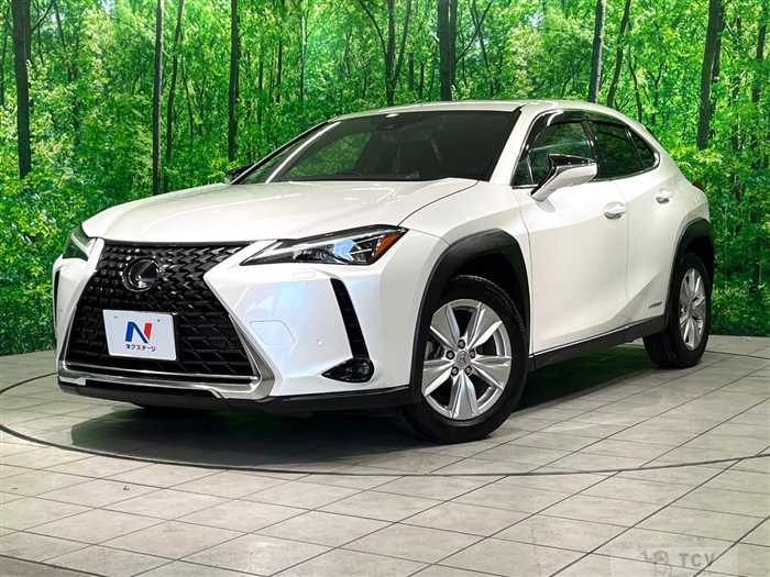 2020 Lexus Other