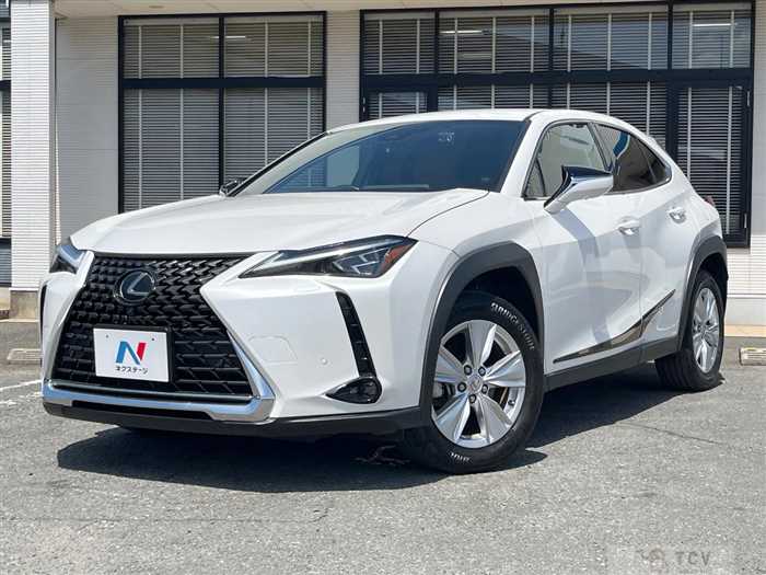 2023 Lexus Other