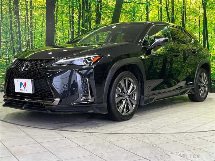 2020 Lexus Other
