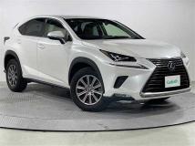 2019 Lexus NX