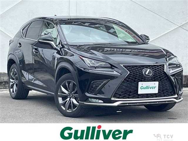 2018 Lexus NX
