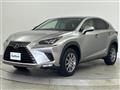 2019 Lexus NX