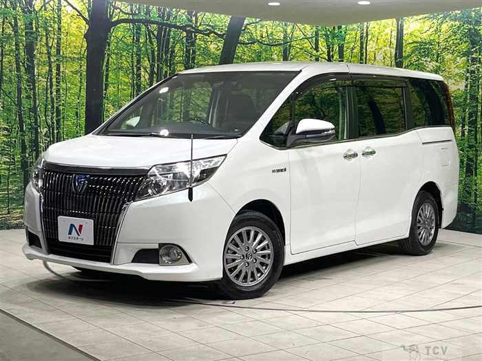 2017 Toyota Esquire