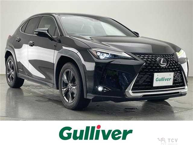 2020 Lexus UX