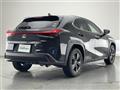 2020 Lexus UX