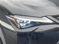 2020 Lexus UX