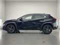 2020 Lexus UX