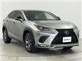 2020 Lexus NX
