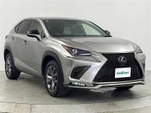 2020 Lexus NX