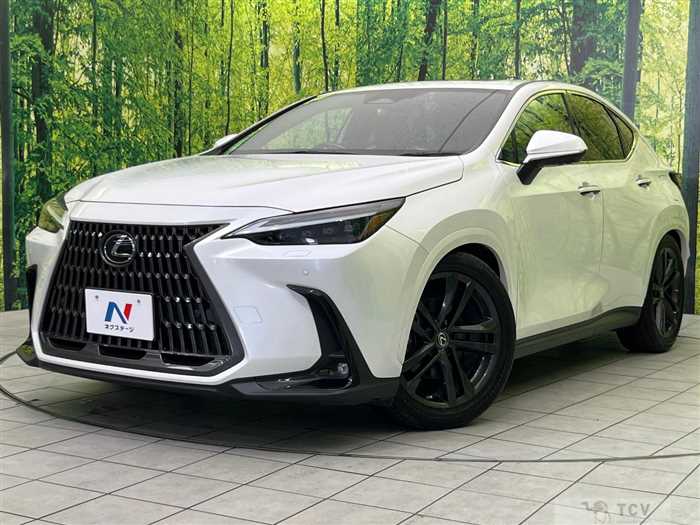 2022 Lexus NX