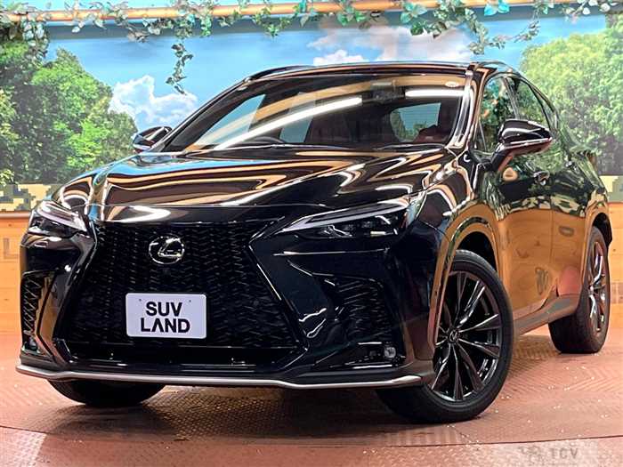 2022 Lexus NX