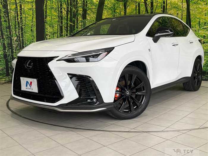 2023 Lexus NX