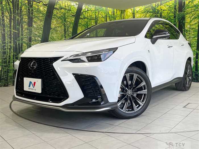 2023 Lexus NX