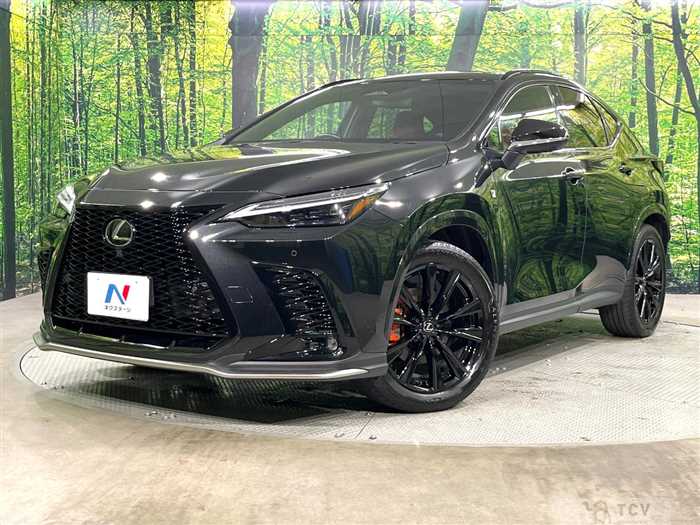 2023 Lexus NX