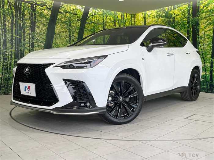 2025 Lexus NX