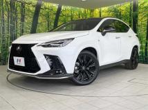 2025 Lexus NX