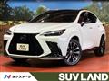 2025 Lexus NX