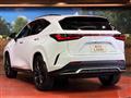 2025 Lexus NX