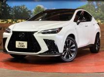 2025 Lexus NX