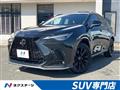 2025 Lexus NX