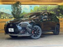 2025 Lexus NX
