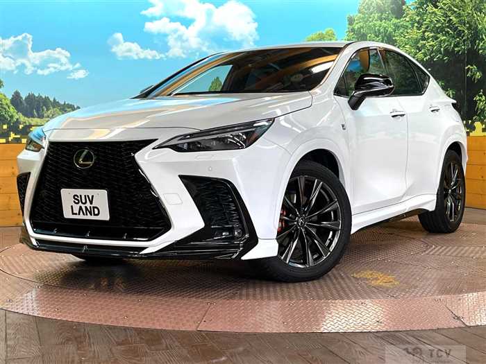 2023 Lexus NX