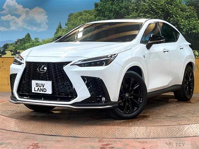 2024 Lexus NX
